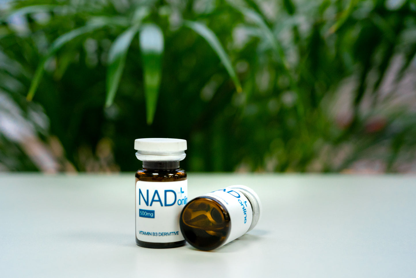 NAD+ Kickstart
